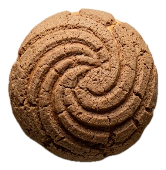 Concha de café con su costra en espiral
